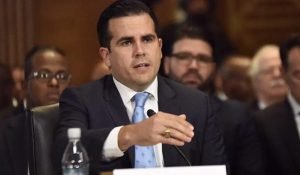 rosselló
