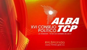 13 años + alba