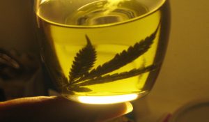 aceite_cannabis