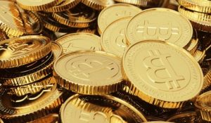 criptomoneda + venezuela