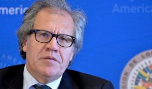 luis almagro + oea