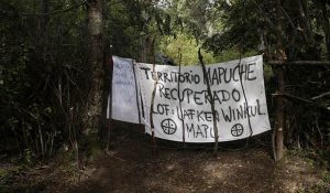 mapuches