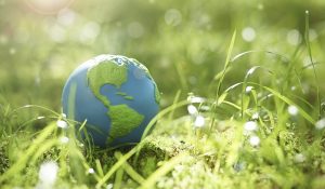 medioambiente