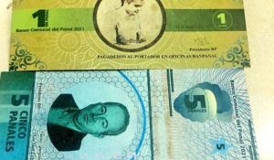 papel moneda venezuela