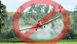 pesticidas
