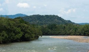 amazonia