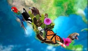 biodiversidad