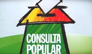 consulta popular