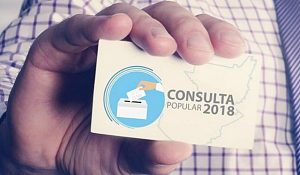 consulta popular