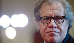 luis almagro + oea