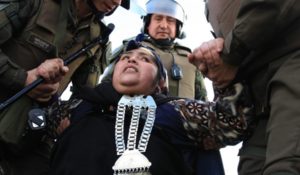 mapuches