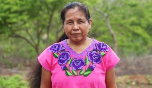 marichuy