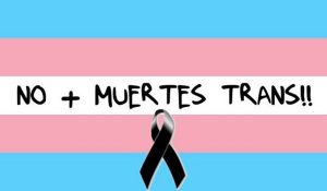 no + muertes trans
