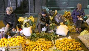 precariedad + mujeres
