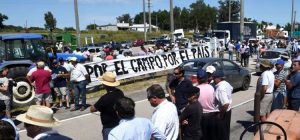 productores