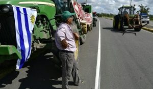 uruguay-productores