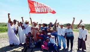 wayuu