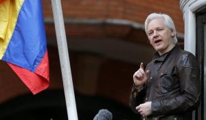 assange