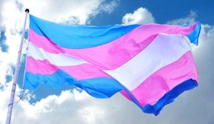 bandera trans