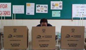 consulta popular