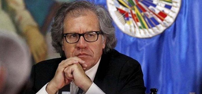 luis almagro + oea