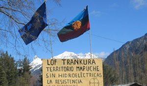 mapuche