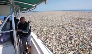mar de plastico