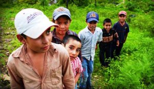 migrantes 3