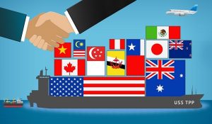 tpp