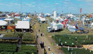 expoactiva