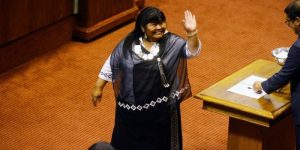 mapuche