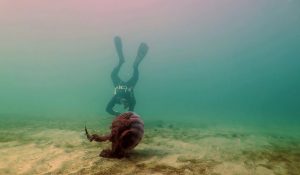 Misterios Submarinos 1 (1)