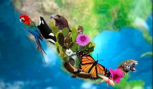 biodiv