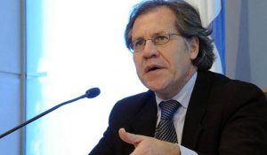luis almagro
