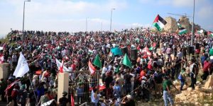 boivia palestina