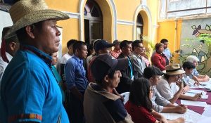 campesinos