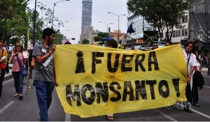monsanto