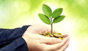 oit ecosistema