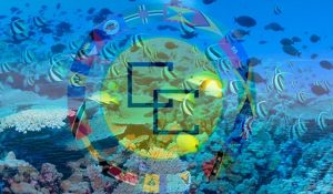 caricom