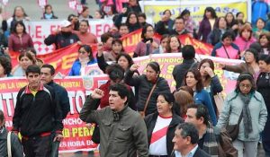 docentes
