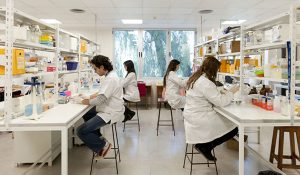el-ministerio-de-ciencia-otorgara-subsidios-institucionales