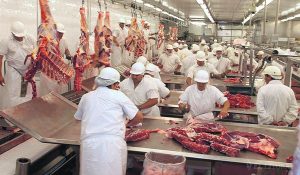 Carne