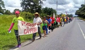 campesinos