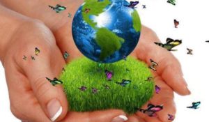 ecologia