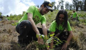 ecoturismo