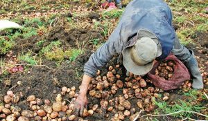 colombia ley de tierras