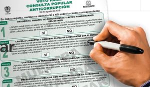 consulta