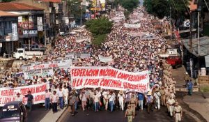 lucha campesina