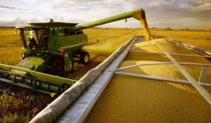Agro oligopolio