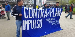 Mapuche araucania